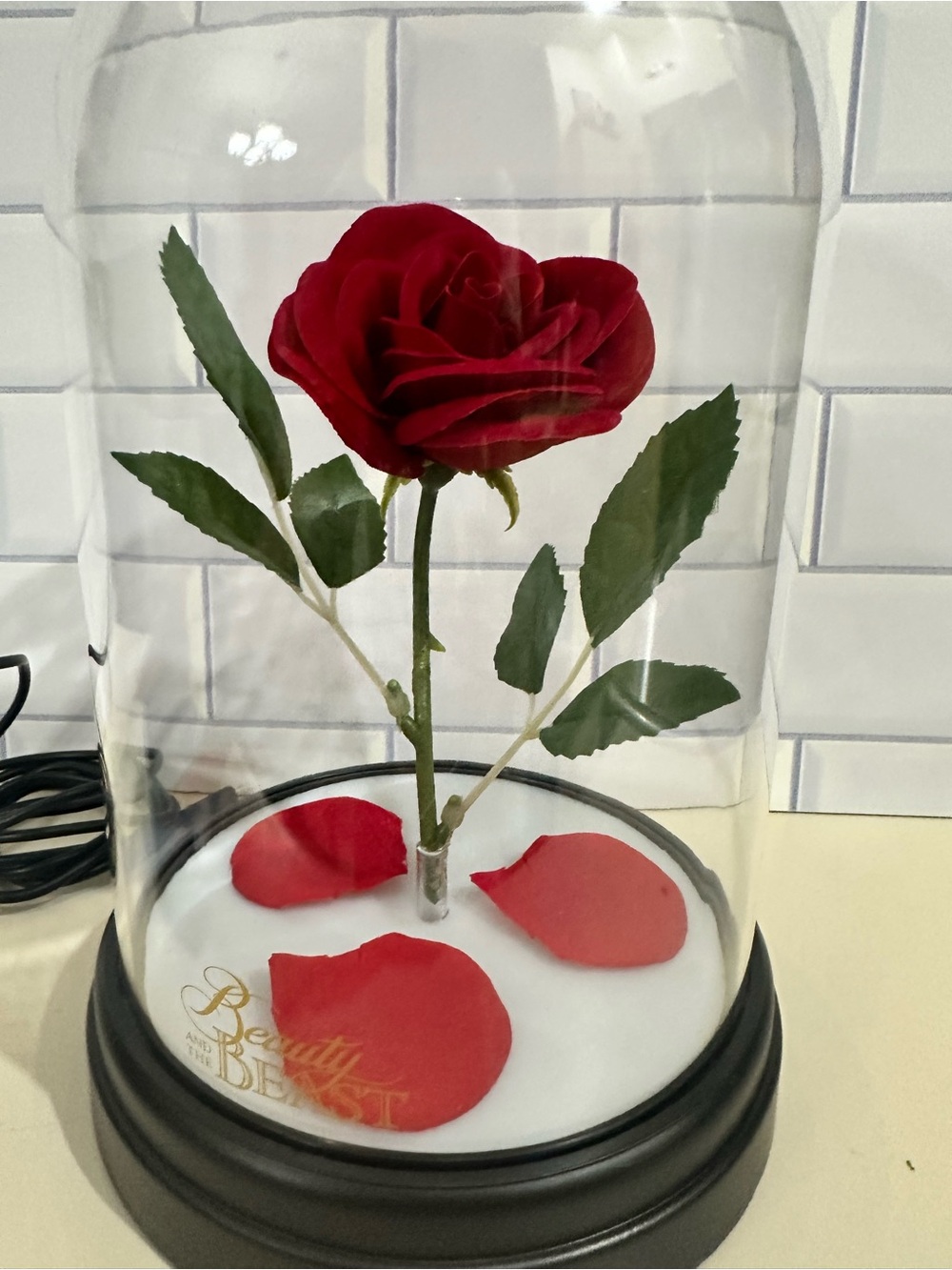 Disney Enchanted Red Rose Under Glass Home Accent